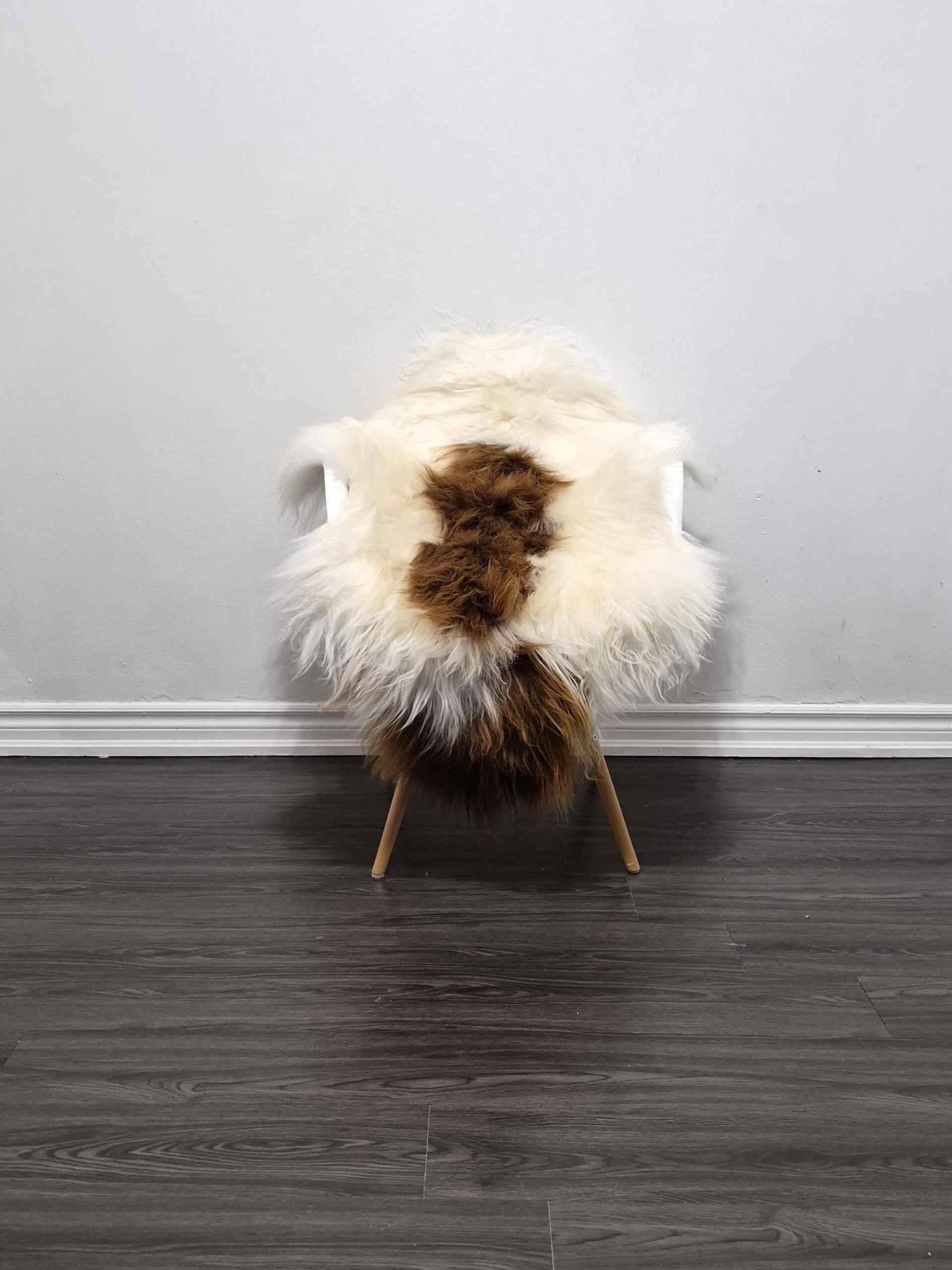 Icelandic Sheepskin Rug | 29 × 45 in | C748