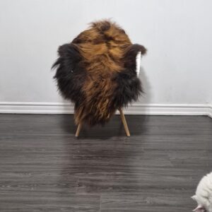 Icelandic Sheepskin Rug | 30 × 50 in | C617