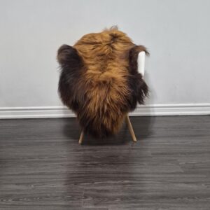 Icelandic Sheepskin Rug | 28 × 48 in | C618