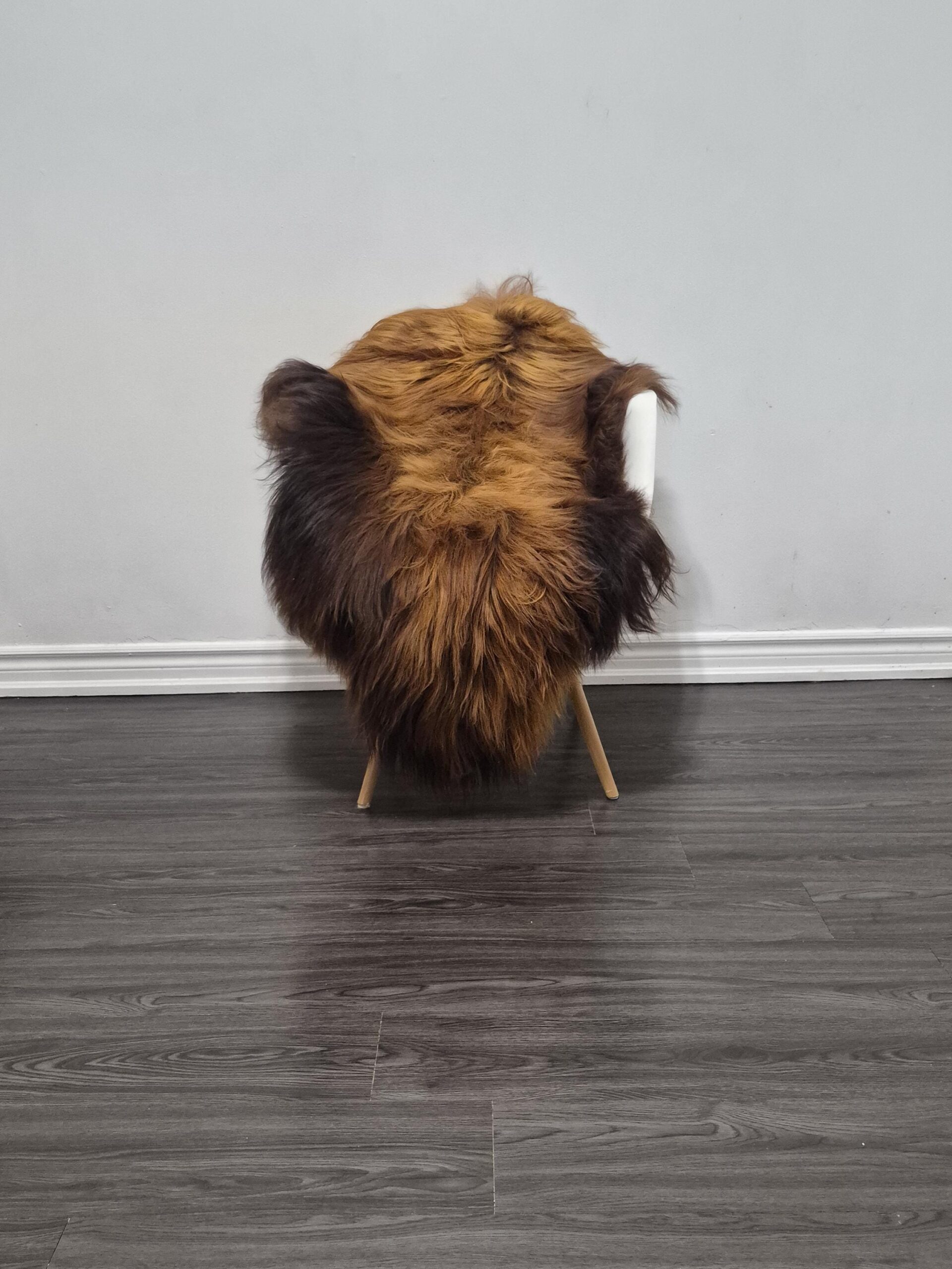 Icelandic Sheepskin Rug | 28 × 48 in | C618