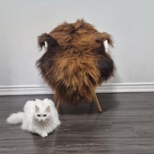 Icelandic Sheepskin Rug | 28 × 46 in | C612