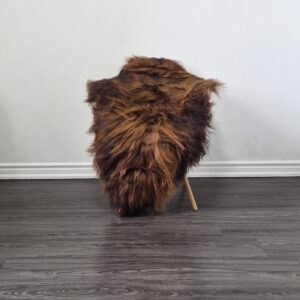 Icelandic Sheepskin Rug | 28 × 48 in | C644