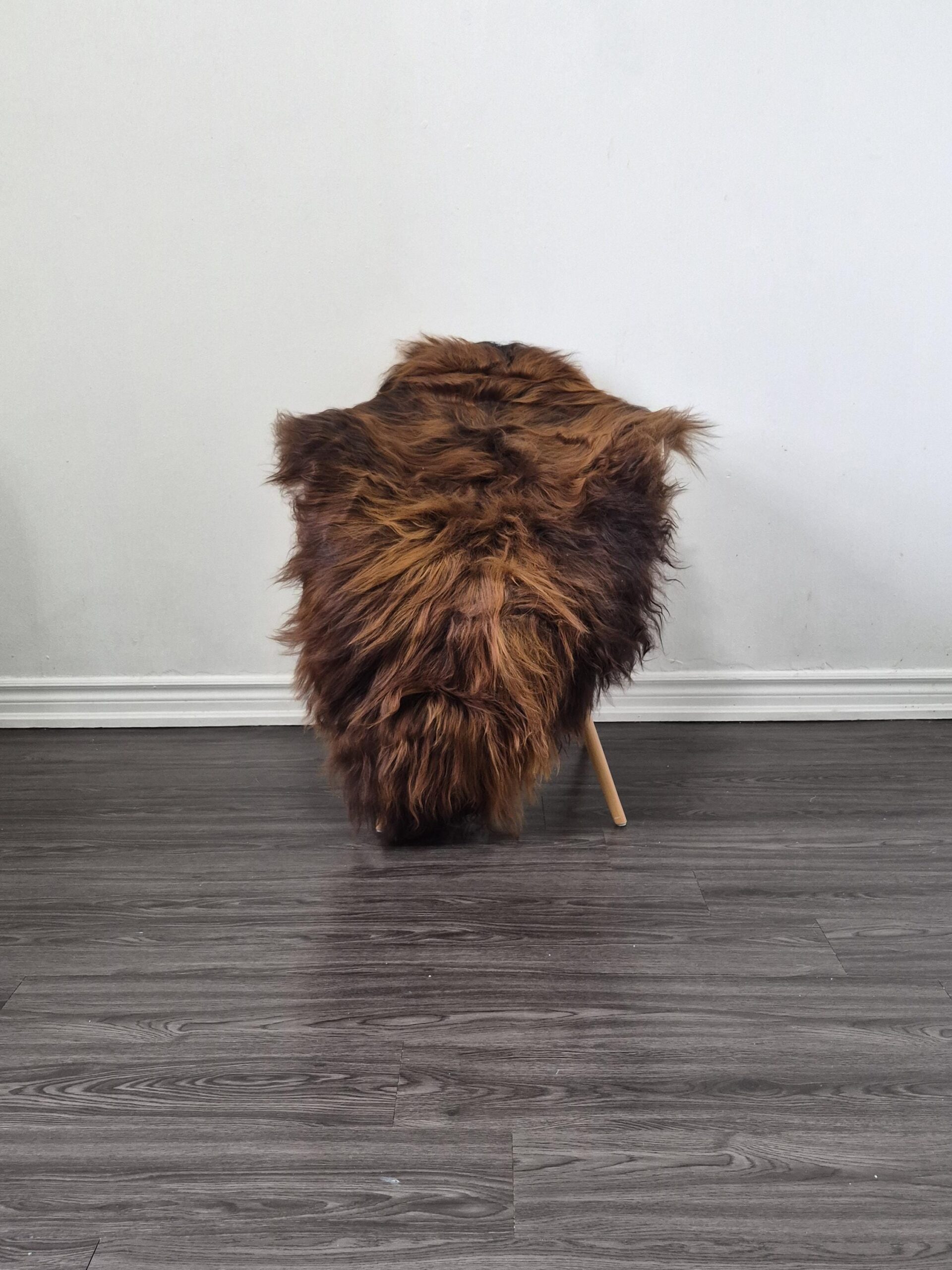 Icelandic Sheepskin Rug | 28 × 48 in | C644