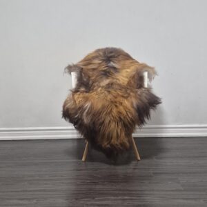 Icelandic Sheepskin Rug | 26 × 46 in | C673