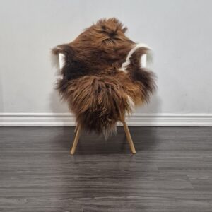 Icelandic Sheepskin Rug | 30 × 45 in | C693