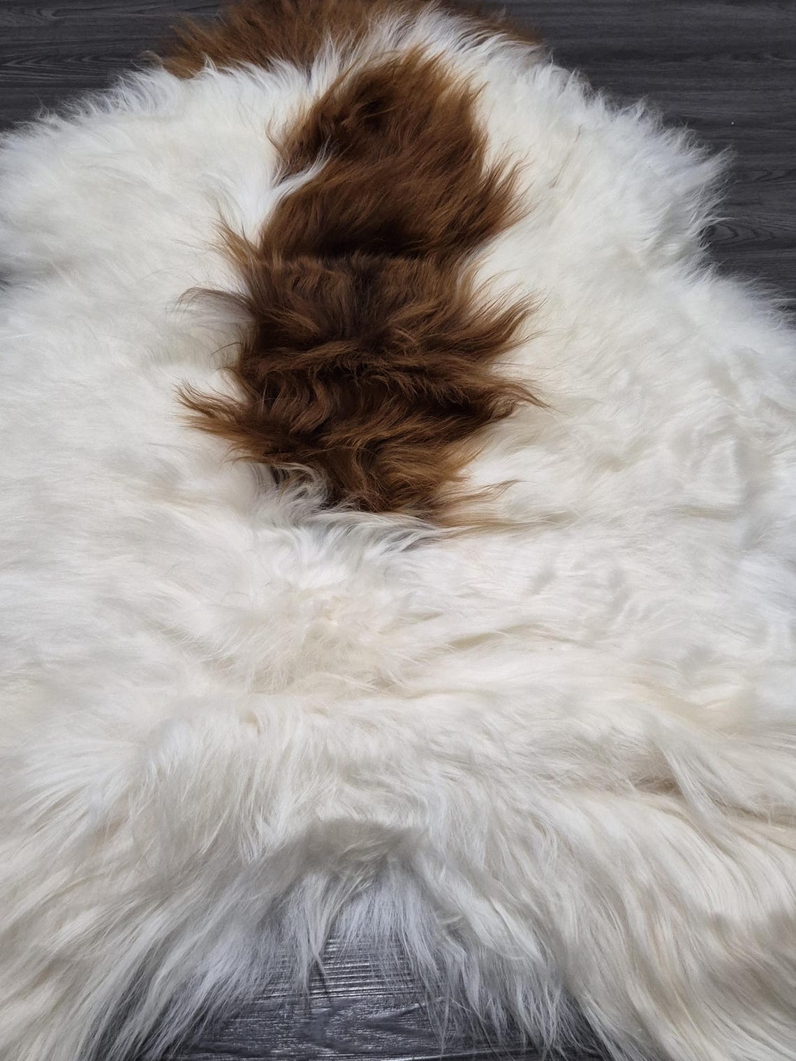 Icelandic Sheepskin Rug | 29 × 45 in | C748 - Image 8