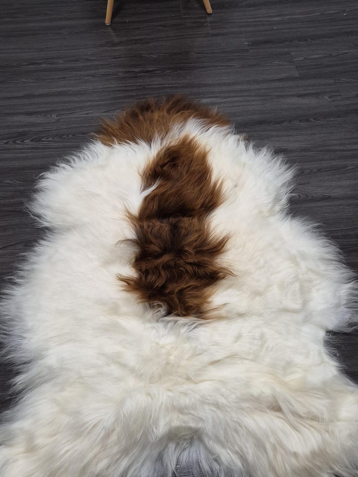 Icelandic Sheepskin Rug | 29 × 45 in | C748 - Image 7